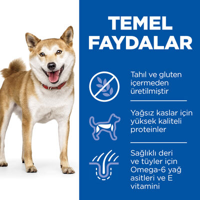 Hills No Grain Medium Tavuklu Tahılsız Köpek Maması 12 Kg + Top Fırlatıcı Oyuncak