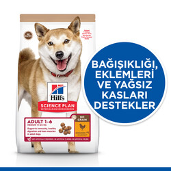 Hills No Grain Medium Tavuklu Tahılsız Köpek Maması 12 Kg + Top Fırlatıcı Oyuncak - Thumbnail