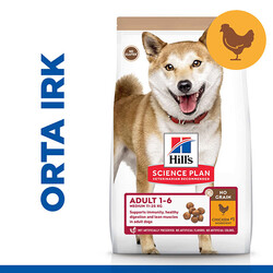 Hills No Grain Medium Tavuklu Tahılsız Köpek Maması 12 Kg + Frizbi Oyuncak - Thumbnail