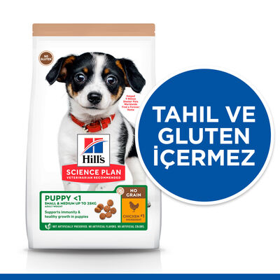 Hills No Grain Puppy Tavuk Küçük ve Orta Irk Yavru Köpek Maması 12 Kg + Mama Kabı