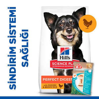 Hills Perfect Digestion Tavuk ve Pirinçli Küçük Irk Köpek Maması 3 Kg + 8in1 Köpek Ödül Kemiği