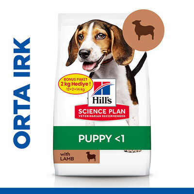 Hills Puppy Kuzu Etli Yavru Köpek Maması 12 + 2 Kg (Toplam 14 Kg) + Frizbi Oyuncak