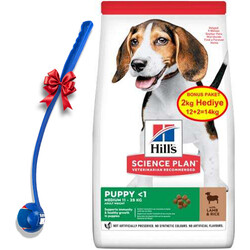 Hills - Hills Puppy Kuzulu Yavru Köpek Maması 12 + 2 Kg (Toplam 14 Kg) + Top Fırlatıcı Oyuncak