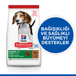 Hills Puppy Kuzulu Yavru Köpek Maması 14 Kg + Top Fırlatıcı Oyuncak - Thumbnail