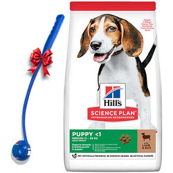 Hills - Hills Puppy Kuzulu Yavru Köpek Maması 14 Kg + Top Fırlatıcı Oyuncak