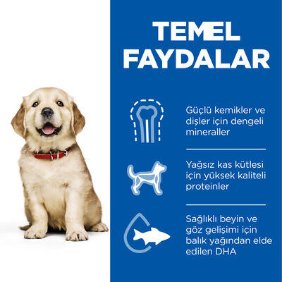 Hills Puppy Large Büyük Irk Tavuklu Yavru Köpek Maması 14,5 Kg + Frizbi Oyuncak