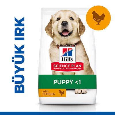 Hills Puppy Large Büyük Irk Tavuklu Yavru Köpek Maması 14,5 Kg + Frizbi Oyuncak