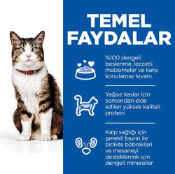 Hill's Culinary Creations Somonlu Havuçlu Kedi Maması 10 Kg - 2