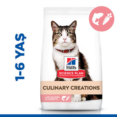 Hill's Culinary Creations Somonlu Havuçlu Kedi Maması 10 Kg + Mama Kabı