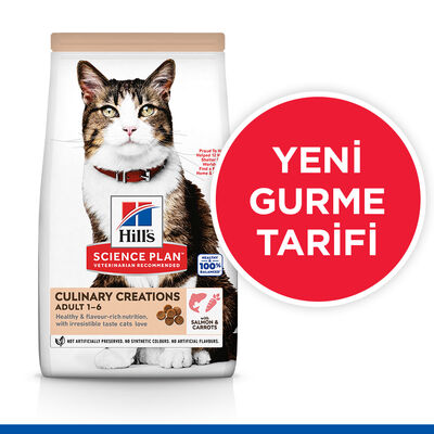 Hill's Culinary Creations Somonlu Havuçlu Kedi Maması 10 Kg + Mama Kabı