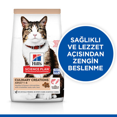 Hill's Culinary Creations Somonlu Havuçlu Kedi Maması 10 Kg + Mama Kabı