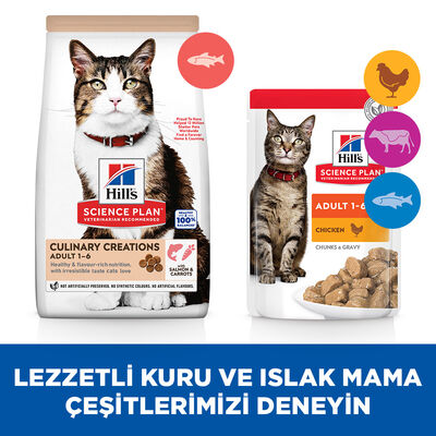 Hill's Culinary Creations Somonlu Havuçlu Kedi Maması 10 Kg + Mama Kabı