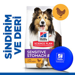 Hills - Hills Sensitive Stomach Skin Tavuklu Yetişkin Köpek Maması 14 Kg + Frizbi Oyuncak