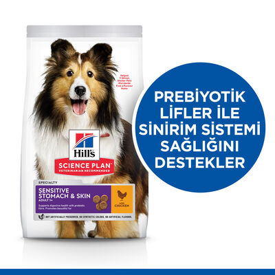 Hills Sensitive Stomach Skin Tavuklu Yetişkin Köpek Maması 14 Kg + Frizbi Oyuncak