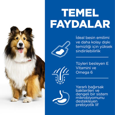 Hills Sensitive Stomach Skin Tavuklu Yetişkin Köpek Maması 2,5 Kg