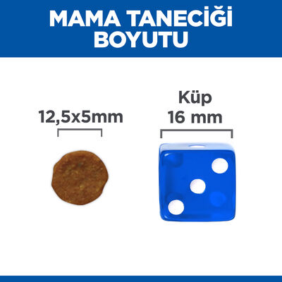 Hills Sensitive Stomach Skin Tavuklu Yetişkin Köpek Maması 2,5 Kg