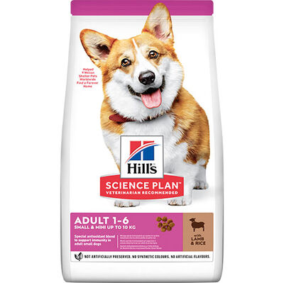 Hills Small & Miniature Küçük Irk Kuzulu Köpek Maması 1,5 Kg + 8in1 Köpek Ödül Kemiği