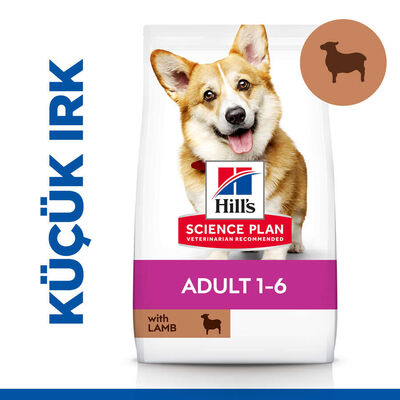 Hills Small & Miniature Küçük Irk Kuzulu Köpek Maması 1,5 Kg + 8in1 Köpek Ödül Kemiği