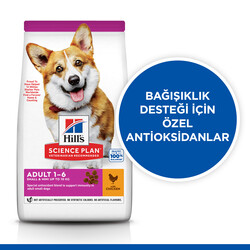 Hills Small&Miniature Küçük Irk Tavuklu Köpek Maması 1,5 Kg + 8in1 Köpek Ödül Kemiği - Thumbnail