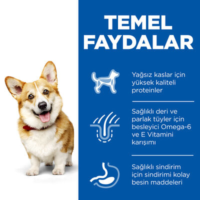 Hills Small & Miniature Küçük Irk Tavuklu Köpek Maması 3 Kg