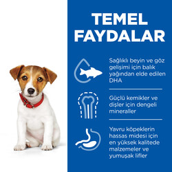 Hills Small & Miniature Puppy Tavuklu Küçük Irk Yavru Köpek Maması 1,5 Kg - Thumbnail