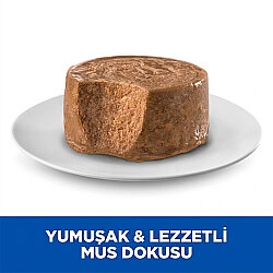 Hills Small Mini Mousse Küçük ve Mini Irk Tavuklu Yetişkin Köpek Konservesi 200 Gr - 3