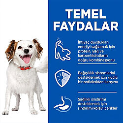 Hills Small Mini Mousse Küçük ve Mini Irk Tavuklu Yetişkin Köpek Konservesi 200 Gr - 4