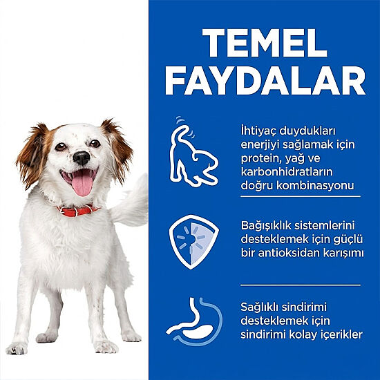 Hills Small Mini Mousse Küçük ve Mini Irk Tavuklu Yetişkin Köpek Konservesi 200 Gr - 4