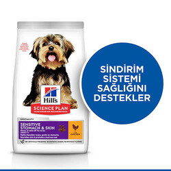 Hills Small Mini Sensitive Küçük Irk Köpek Maması 1,5 Kg + 8in1 Köpek Ödül Kemiği - Thumbnail