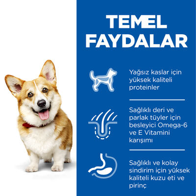 Hills Small & Miniature Küçük Irk Kuzulu Köpek Maması 6 Kg + 2 Adet 8in1 Köpek Ödül Kemiği