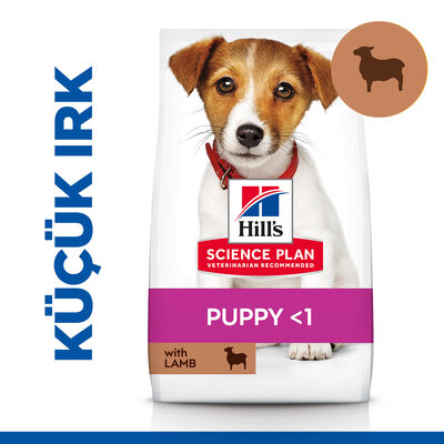 Hills Small & Miniature Puppy Küçük Irk Kuzulu Yavru Köpek Maması 1,5 Kg + Poşet Tutacağı