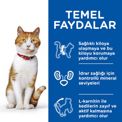 Hills Sterilised Kısırlaştırılmış Ördekli Kedi Maması 10 Kg - Thumbnail