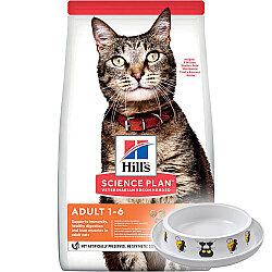 Hills Tavuk Etli Yetişkin Kedi Maması 1,5 Kg + Moderna Desenli Mama Kabı - Hills