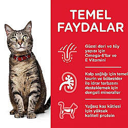 Hills Tender Chunks in Gravy Okyanus Balıklı Kedi Yaş Maması 85 Gr - 3