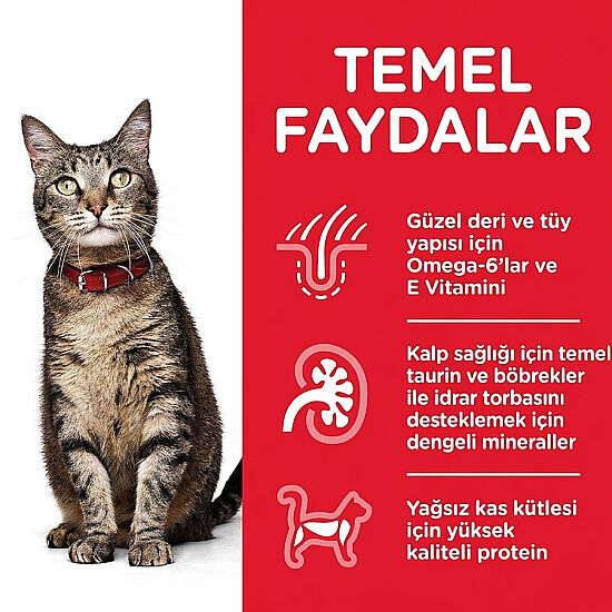 Hills Tender Chunks in Gravy Okyanus Balıklı Kedi Yaş Maması 85 Gr - 3