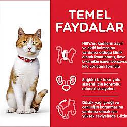 Hills Tender Chunks In Gravy Somonlu Kısırlaştırılmış Kedi Yaş Maması 85 Gr - (12 Adet) - 5