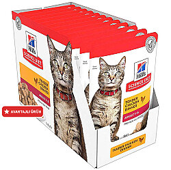 Hills Tender Chunks in Gravy Tavuklu Kedi Yaş Maması 85 Gr - (12 Adet) - Hills