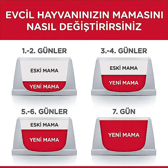 Hills Tender Chunks in Gravy Tavuklu Kedi Yaş Maması 85 Gr - 4