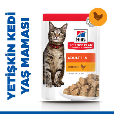 Hills Tender Chunks in Gravy Tavuklu Kedi Yaş Maması 85 Gr