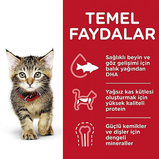 Hills Tender Chunks Kitten Tavuklu Yavru Kedi Yaş Maması 85 Gr - (12 Adet) - 4
