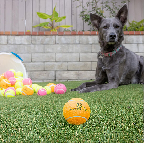 Hyper Pet 4 lü Turuncu Tenis Topu (Küçük Boy) - 4