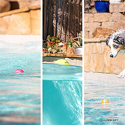 Hyper Pet 4'lü Pembe Tenis Topu (Orta Boy) - 4