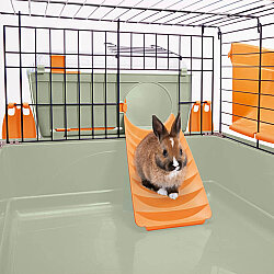 Imac Sweet Home Gine Pig ve Tavşan Evi 37 x 26 x 22 Cm - 5