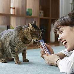 Inaba Ciao Churu Cream Ton Balıklı Kedi Ödül Kreması 4 x 14 Gr - 3