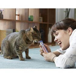 Inaba Ciao Churu Cream Ton Balıklı Kedi Ödül Kreması 4 x 14 Gr - Thumbnail