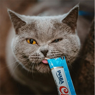 Inaba Ciao Churu Hairball Tüy Yumağı Kontrollü Ton Balıklı Ödül Maması 4 x 14 Gr