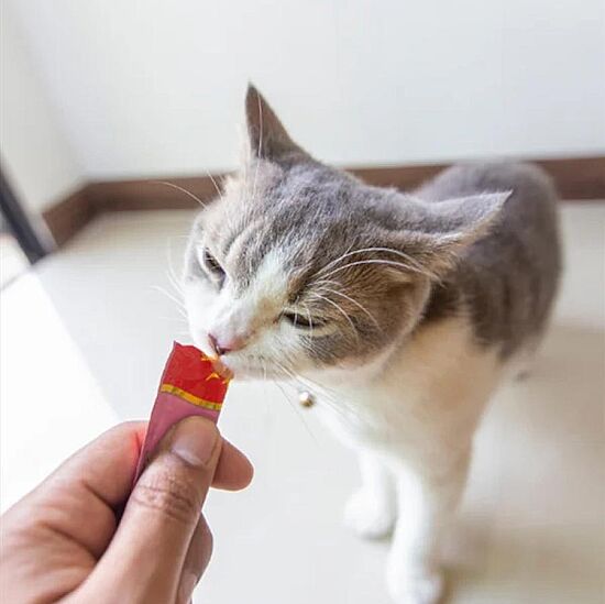 Inaba Ciao Churu Cream Kitten Yavru Kediler İçin Tuna Balıklı Ödül Maması 4 x 14 Gr - 3