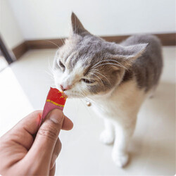 Inaba Ciao Churu Cream Kitten Yavru Kediler İçin Tuna Balıklı Ödül Maması 4 x 14 Gr - Thumbnail