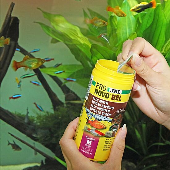 JBL Pronovo Bel Grano M Balık Yemi 250 ML - 2