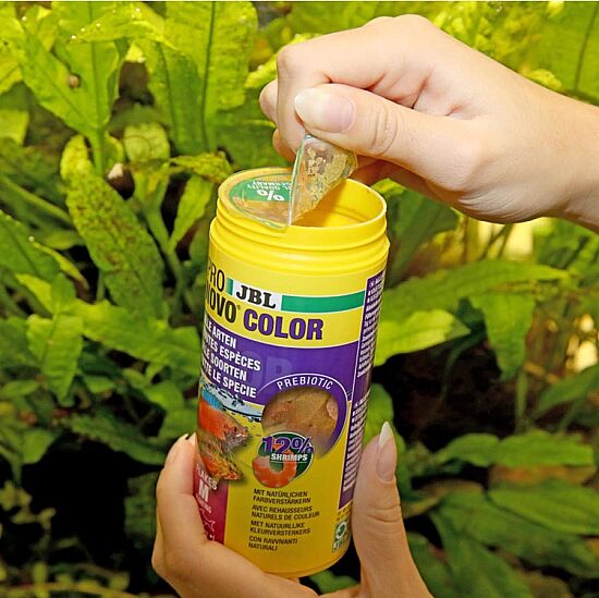 JBL Pronovo Color Flakes M Balık Yemi 100 ML - 2